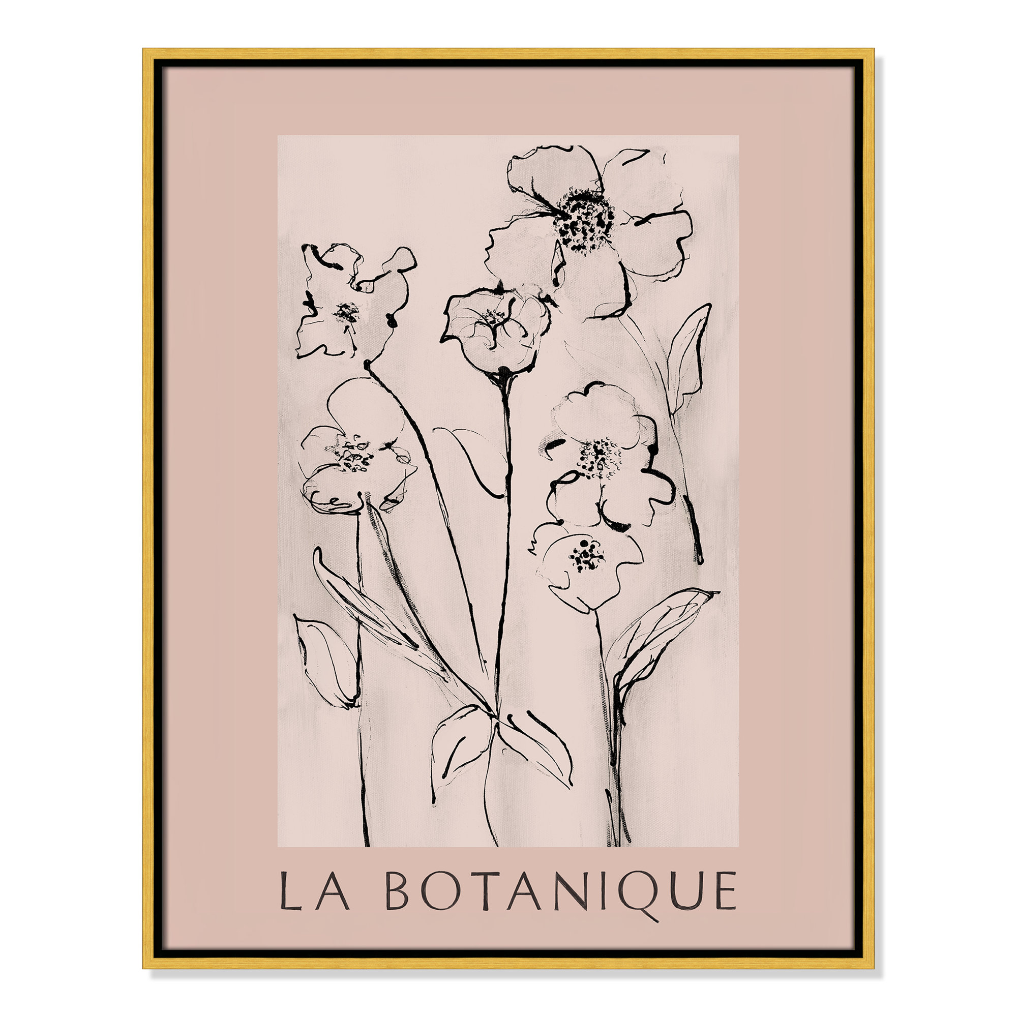 Botanical Poster Collection " La Botanique " by Susan Jill, Gold Floater Frame, 29.5" H x 23.5" W x 2" D, No
