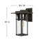 Kajale 1-Light Outdoor Wall Lantern-53602664