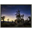 Joshua Tree, reproduction d'art, paysage mural, affiche sur toile de parc national de Joshua Tree, œuvre de paysage de désert de cactus-87055145