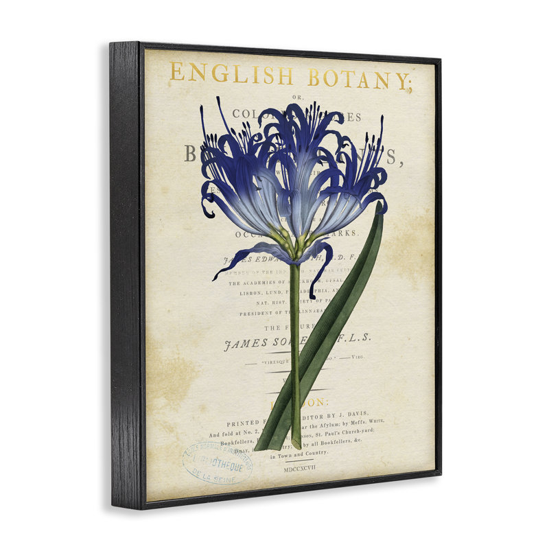 Giclée encadrée florale anglaise, par Susan Arnot, Giclée noire de minuit encadrée, H 20 po x l 16 po
