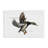 Flying Mallard Duck Canvas by Jadei Graphics-1448379409