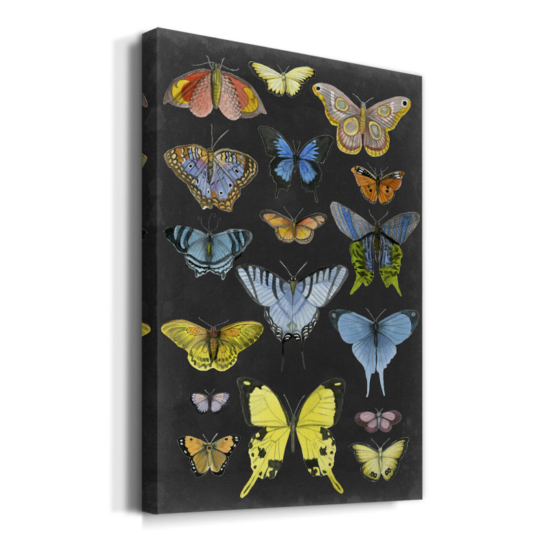 «Butterfly Taxonomie I», impression sur toile tendue, H 18 po x l 12 po x P 1 po