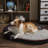 Orthopedic Polyester Pet Bed-72100147-72100146-72100145