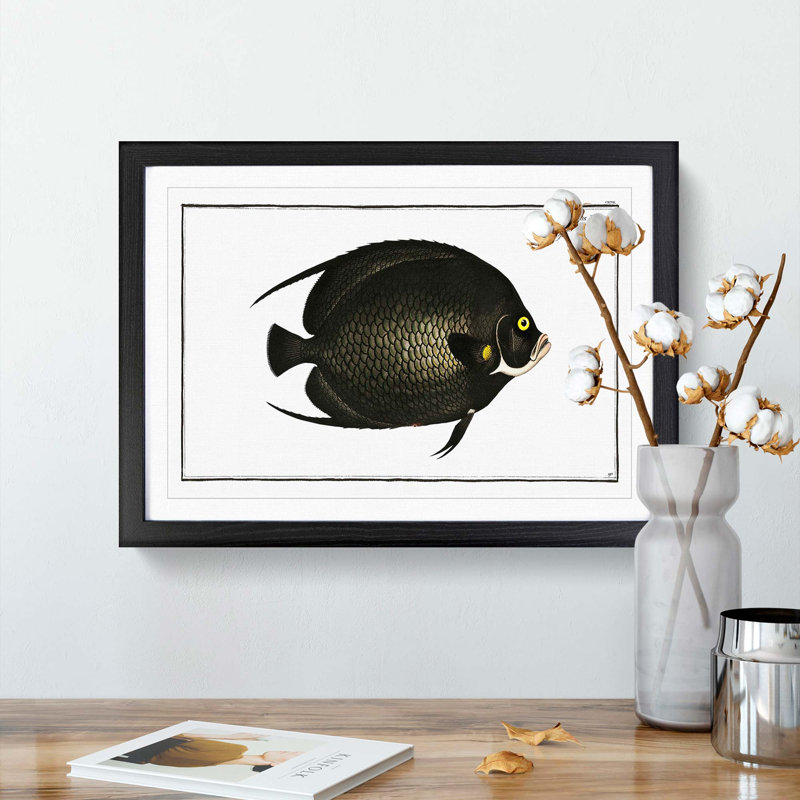 Variegated Angel-Fish by M.E. Bloch - Picture Frame Painting Print, 27cm H x 36cm W x 2cm D, Black Framed