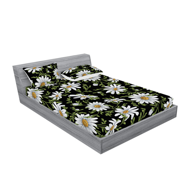Motif de camomille réaliste blanc cassé Ambesonne, Ensemble de draps très grand californien avec 2 t