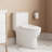 Ally Dual-Flush Elongated One-Piece Toilet with Glazed Surface Modern Toilet with Comfort Seat Height  (Seat Included)-101042010-105449775