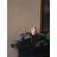 Festive Mini Portland Vase-149315684