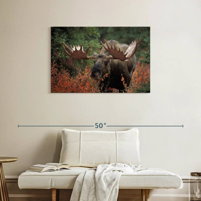 Brampt Moose Forest Meal, 24" H x 36" W