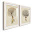 Toile encadrée Esper Sea Fans-469351605-469384946-469384958