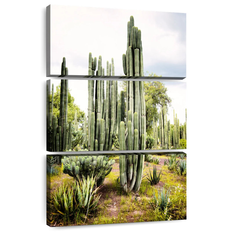 Harnek Viva, Mexique - Cactus Cardon I, H 32 po x l 20 po