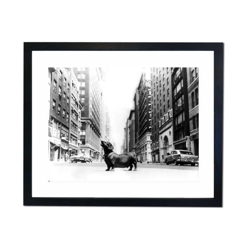 Single Picture Frame Print