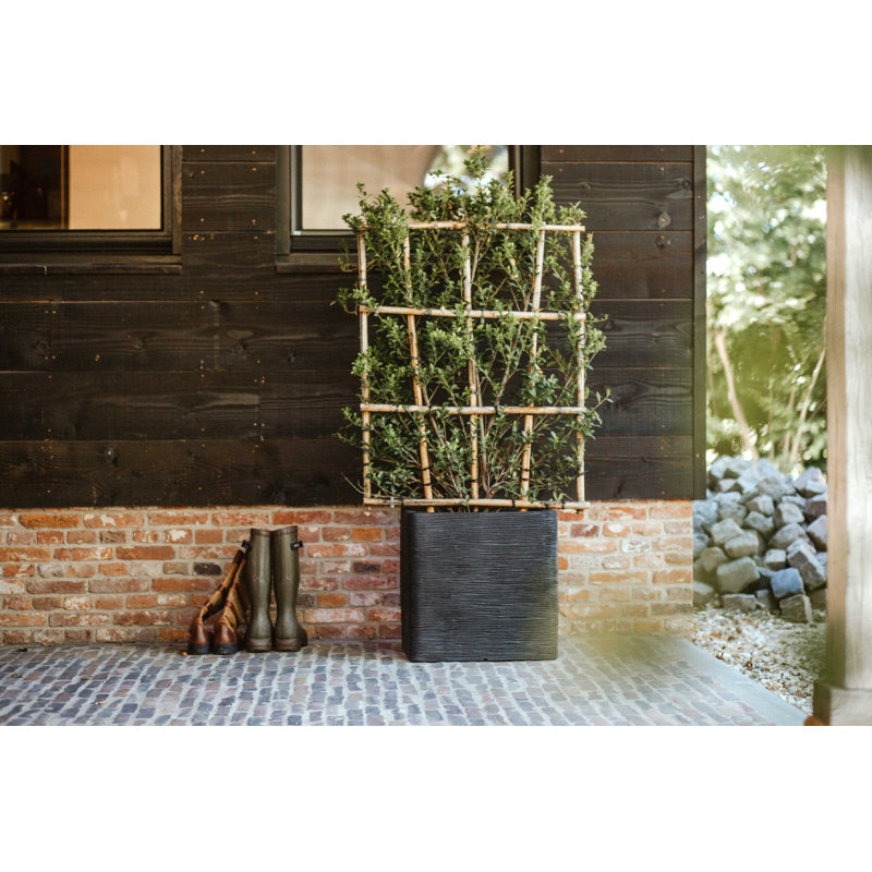 Planter Box, 50cm H x 50cm W x 50cm D, Dark Brown