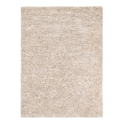 Yanaliz Wool Indoor Rug