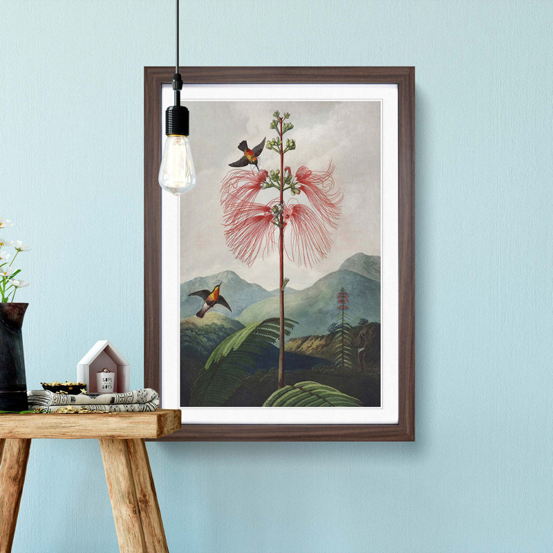 Flowering Plant and Birds by R.J. Thornton - Framed Print, Walnut Framed, 36cm H x 27cm W x 2cm D