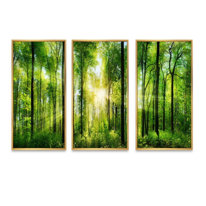 Forêt avec rayons de soleil, ensemble de 3 toiles encadrées, H 20 po x l 36 po x P 1 po, Encadrement doré