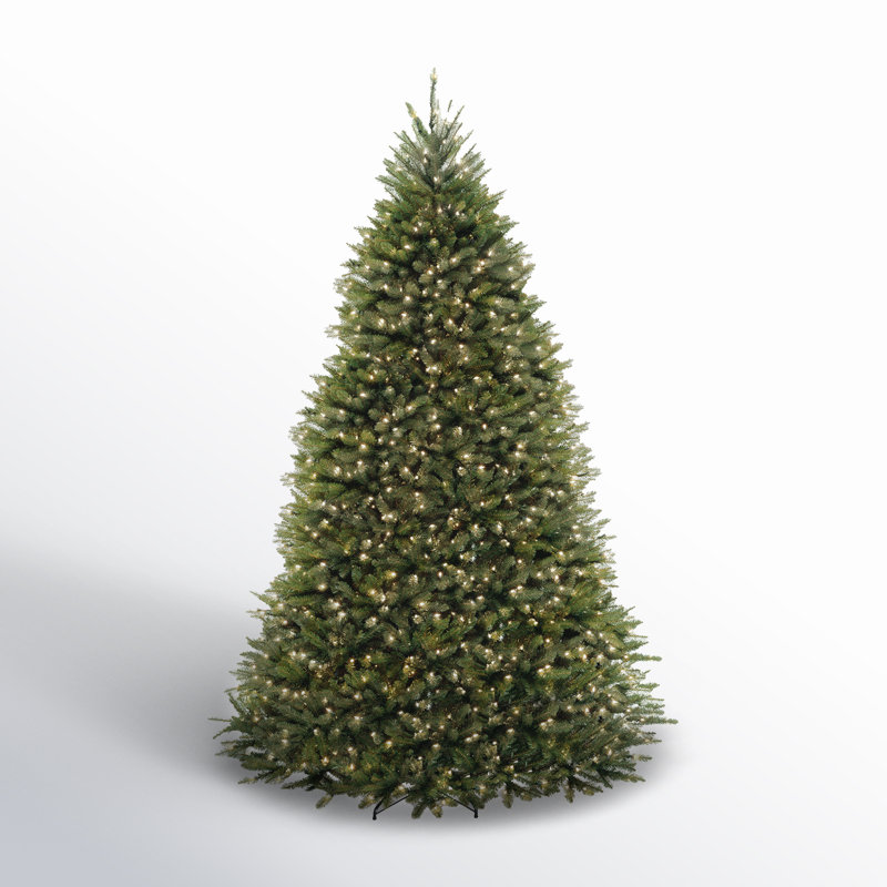 The Holiday Aisle® Dunhill Fir Tree with Dual Color LED Lights, 10'