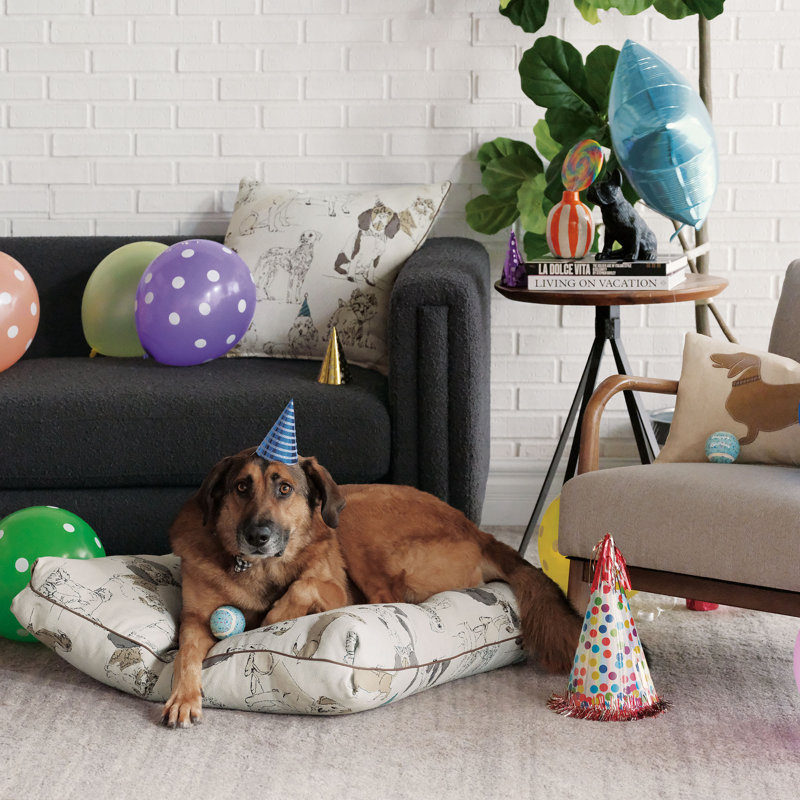 Pets Buddy's Bash Fabric