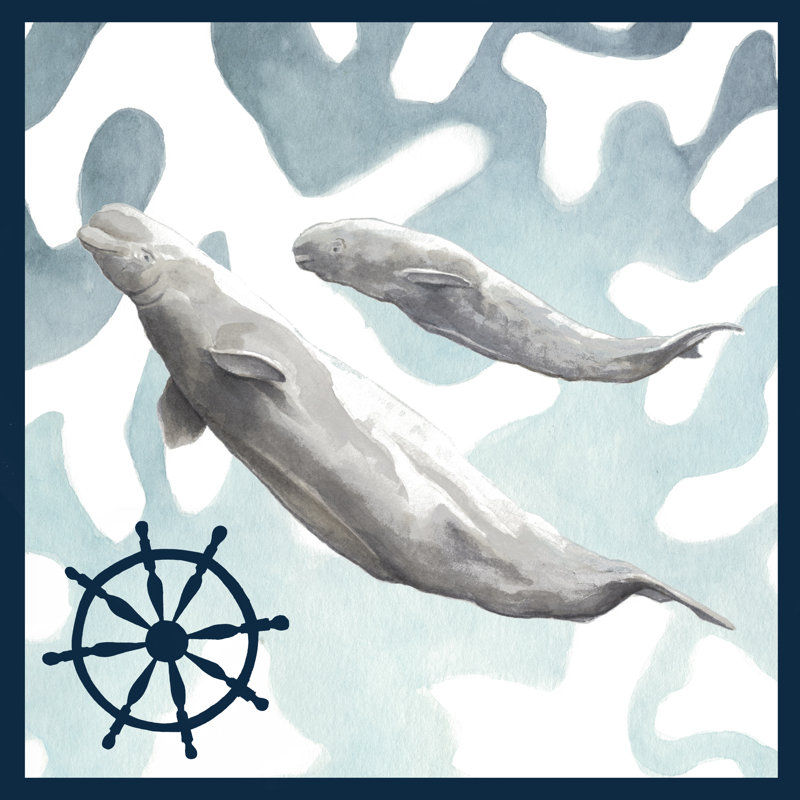 Whale Composition IV by Megan Meagher - Wrapped Canvas Painting, 122cm H x 122cm W