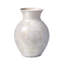 Curio Vase – Crystalline-807831718