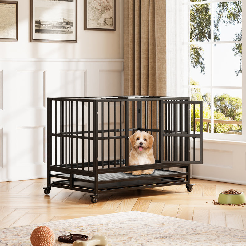 Cage pliante pour chien robuste de 37 pouces avec plateau amovible Assemblage facile pour les petits et les grands chiens