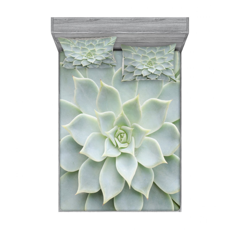 Microfiber Floral Sheet Set