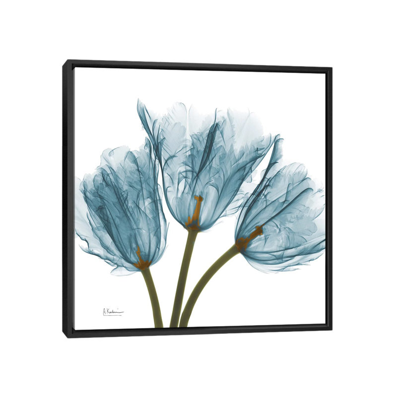 " Tulips " by Albert Koetsier, 18" H x 18" W x 1.5" D, Black Framed Canvas, No Mat