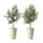 Sainsbury Pot Planter-911249981