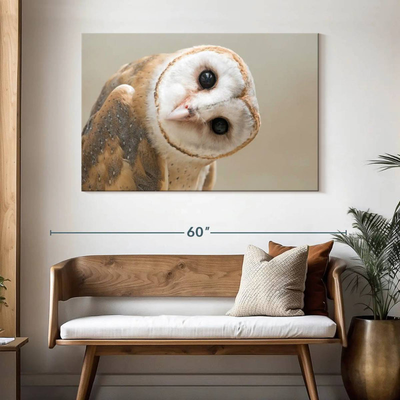 Hibou Brampt, H 32 po x l 48 po