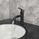 Single Handle Stainless Steel Bathroom Sink Faucet with Pull-Out Sprayer