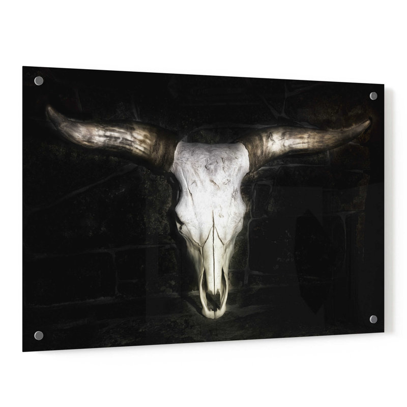 «Cow Skull» par PH Burchett, H 24 po x l 36 po x P 0,2 po