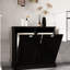 Porte-buanderie noir - E1, armoire de tri de peinture fine. Conception à la mode, convient à tous les décors. Pour une surface lisse. Deux compartiments avec sacs amovibles. Peut supporter jusqu'à 100 livres. Assemblage requis-367150097