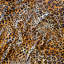 Ardmore Velvet Fabric-1038597140