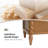 ALEX Transitional 4-Door Sideboard with Adjustable Shelves and Solid Wood Legs-824911852