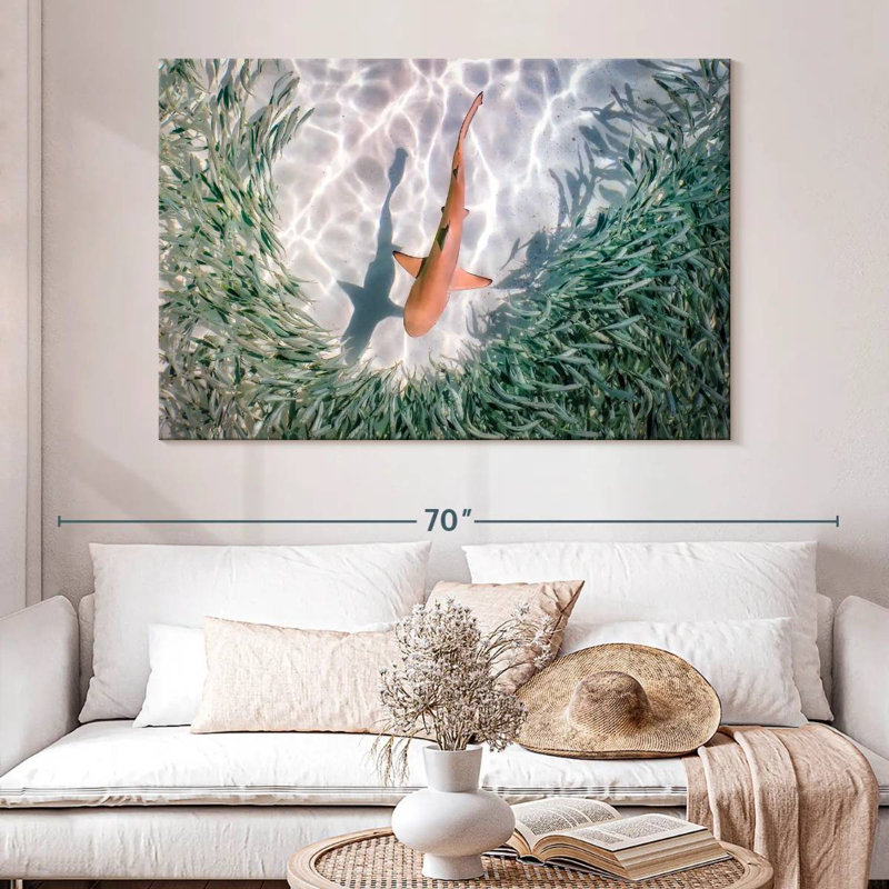 Brampt Baby Blacktip Reef Shark, 34" H x 51" W