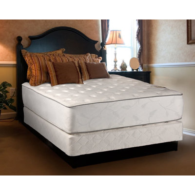 Alwyn Home Bernards 12'' Plush Innerspring Mattress and Bed Frame Box Spring
