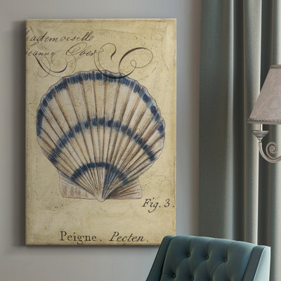 " Seashell Ephemera III "