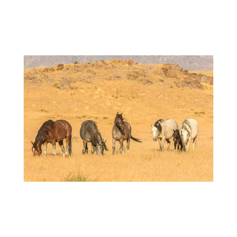USA, Utah, Tooele County. Wild horses on plain. 1 Piece Wrapped Canvas Wall Art, 30.48cm H x 45.72cm W