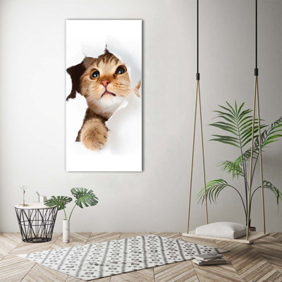 Cat - Wrapped Canvas Print