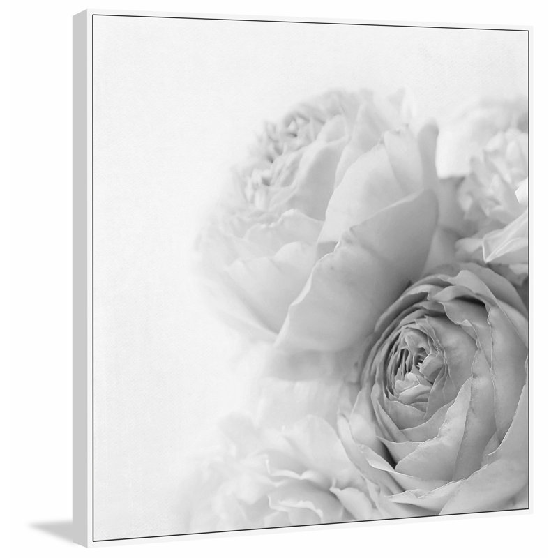 "Roses II" par Sylvia Cook - reproduction de photo sur toile flottante, H 12 po x l 12 po