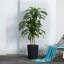 Adcock UV Resistant Artificial Yellow Dracaena Tree, Faux Tree with Large Base for Indoor Outdoor-983444161-983444160