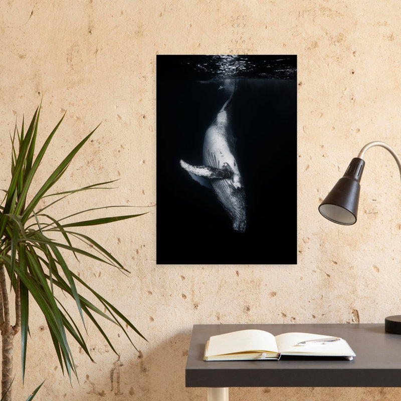 Art contemporain, art contemporain, baleine, H 24 po x l 16 po