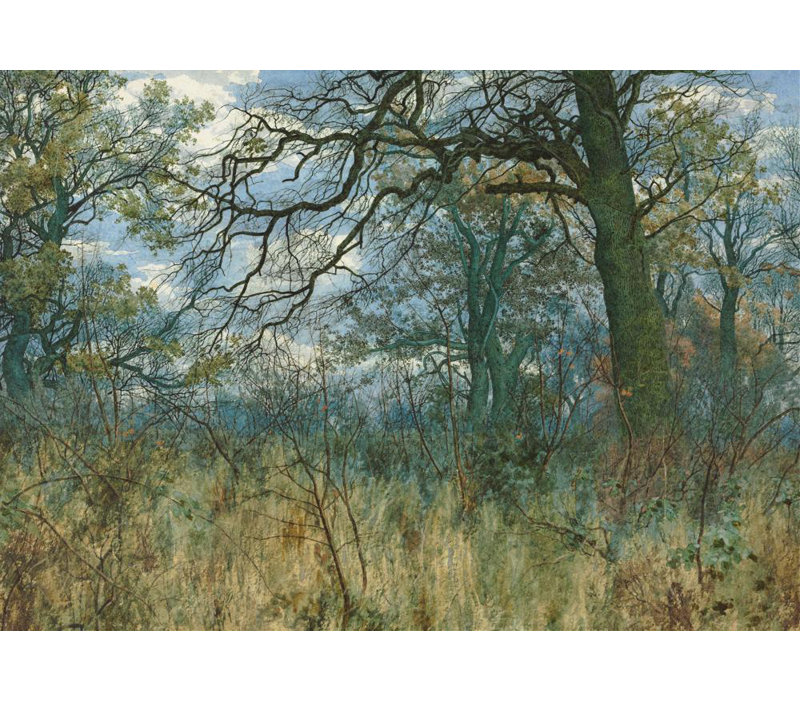 «Trees and Undergrowth» par William Fraser Garden - Art mural sur toile tendue avec châssis, H 18 po x l 14 po