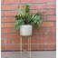 152.4cm Faux Fern Plant in Pot Liner