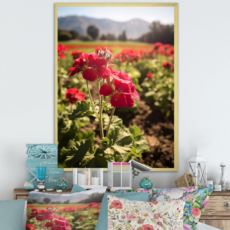 Photo Og Geraniums Field I sur toile, H 40 po x l 30 po x P 1,5 po, Cadre doré simple