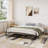 Low Bed Frame King Size, 10 Inch Heavy Duty Metal Platform King Bed Frame with Arch Design, Easy Assembly, Strong Bearing Capacity, Under Bed Storage, No Box Spring Needed-210603593