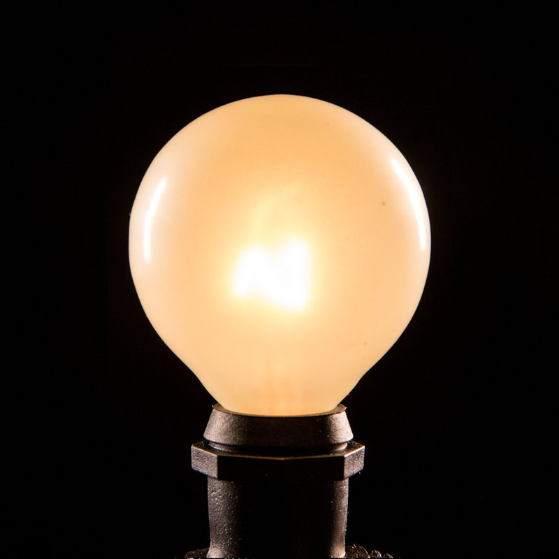 Outdoor 20 - Bulb 25'' Plug-in Globe String Light, Black