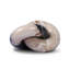 Petrified Wood Knot-Dark Petrified Wood