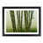 Black Framed selected