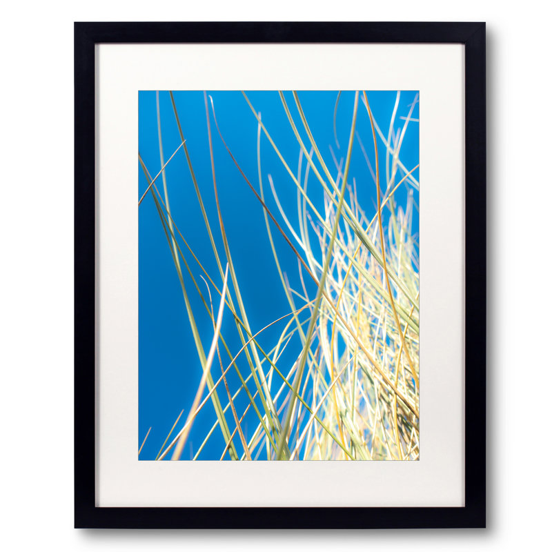 Dune Grasses Print by Petra Trimmel, Black Framed Paper, 20" H x 16" W