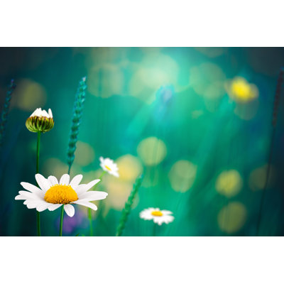 Summer Meadow by Borchee - Print